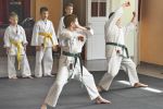 250.JPG